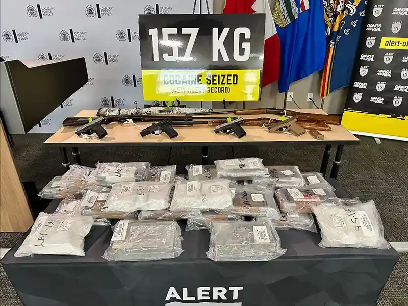 ALERT displays 157 kilograms of seized cocaine packages and firearms from Project Cerberus investigation
